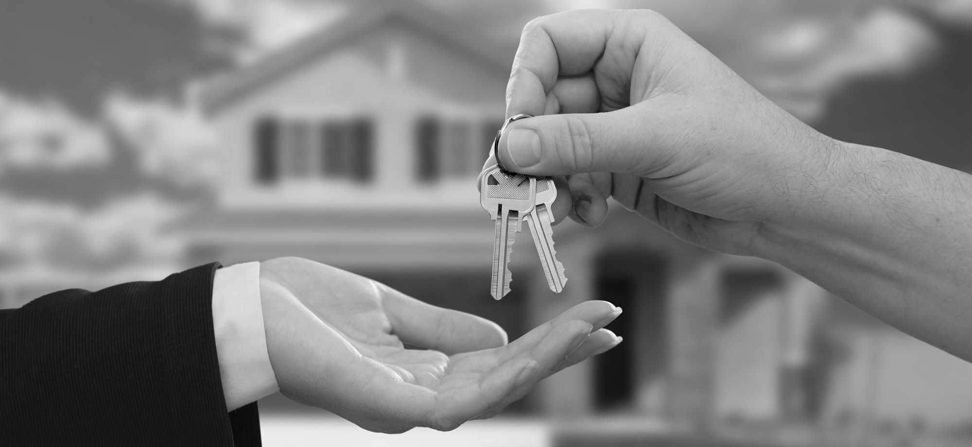 Property Valuation Services